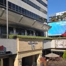 족앤찜 | 셀럽앤어셈 가격 뷔페 식사 주차 ATM 홀투어 후기