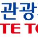 롯데관광개발주 데일리안
