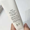 벨루스독 이미지