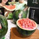 이석농장 이미지