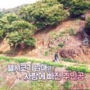 김준헌 농장 네이버블로그