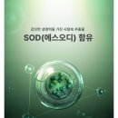 (주)오디글로벌 네이버블로그