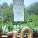 소호 푸른정원 | 울산 울주군 소호푸른정원펜션 후기