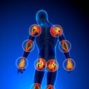 코끼리정형외과의원 이미지