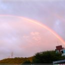 무지개병원 이미지