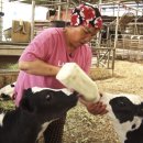 오목골 목장 이미지