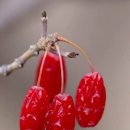 가을에 듣기 좋은 클래식 음악 기타 음악 모음 이미지