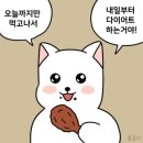 청춘한약국 이미지