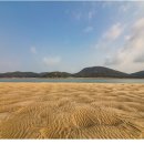 생명의 바다 1.2 이미지