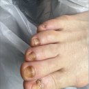 오네또닥터아이티엔