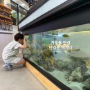 가오동안경 방문 후기 | 시력검사부터 피팅까지 만족했던 아쿠아이즈안경원가오점