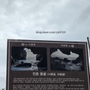 전천 | 경주 감포 가볼만한곳 전천용굴 솔직후기