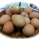 한아름아파트경로당 이미지