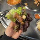 수원-1463 | 수원역 맛집 삼겹살이 맛있는 이팔사팔 솔직후기