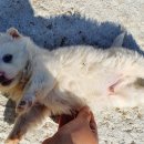 동미농장 이미지