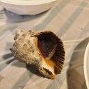 까사도라다 독채 풀빌라 이미지