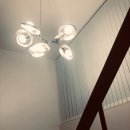 장미빛모텔 이미지