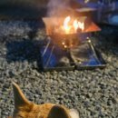 펫츠런파크 이미지