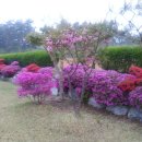 뜨락의아침 이미지