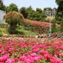 장미정원 이미지