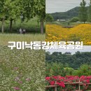 낙동강체육공원 초화류단지 화장실 | 구미 낙동강체육공원 장미, 코스모스, 메밀꽃 구경 한방에 끝내기