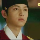 뿌리깊은나무 이미지