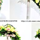 비대칭과정방형 이미지