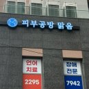 셀프피부미용(꿀피부만들기) | 피부공방 맑음 방문기: AI 피부진단으로 내 피부 유형 확인 &amp; 맞춤 크림 만들기