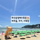 여우비관광호텔 | [공지] 부산 송정해수욕장 파라솔 비용, 주차요금, 샤워장 요금 이용 후기(2024년 7월 28일 후기)