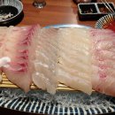 다모아횟집 이미지