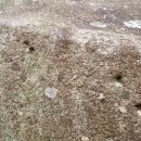 신원청연마을 이미지