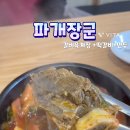 파개장군