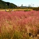 자스민모텔 이미지