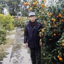 서울특별시 새마을회관 연합뉴스