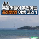 세븐일레븐포항대잠원룸점 | 포항 월포해수욕장과 펜션 여행코스 추천하고 경비정리해봤습니다