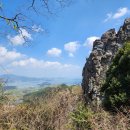 Mr.독 | 전남 해남 달마고도 4