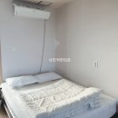 코지스위트