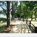 미숭산자연휴양림 이미지