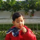 화악농장 이미지