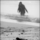 씨엘(Ciel) 이미지