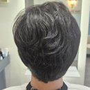 시프헤어 이미지