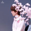 디엠씨(DMC) 이미지