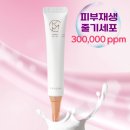 빛나는 강아지 | 빛나는 피부를 위한 메이크업 꿀 팁 대 공개