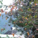 간식꺼리 이미지