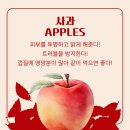 더블에스 수원시청 이미지