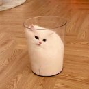헤헤˙𐃷˙dump 이미지