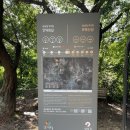 백운1로 | 와이프와 함께한 의왕 백운호수 &amp; 무민공원 트레킹 후기