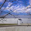 도그살롱 이미지