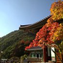 팔공산 이미지