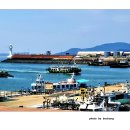 인천항 - 경주시 | 인천항